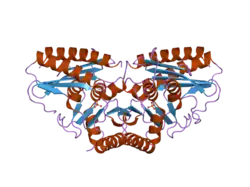 2czh: Crystal structure of human myo-inositol monophosphatase 2 (IMPA2) with phosphate ion (orthorhombic form)
