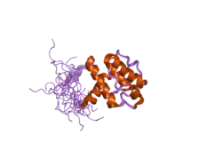2d87: Solution structure of the CH domain from human Smoothelin splice isoform L2