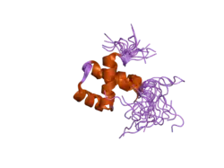 2e19: Solution structure of the homeobox domain from human NIL-2-A zinc finger protein, transcription factor 8