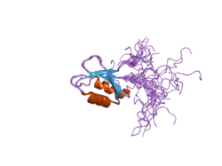 2e44: Solution structure of RNA binding domain in Insulin-like growth factor 2 mRNA binding protein 3