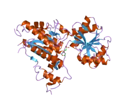 2e4z: Crystal structure of the ligand-binding region of the group III metabotropic glutamate receptor