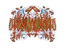 2eim: Zinc ion binding structure of bovine heart cytochrome C oxidase in the fully reduced state