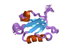 2ev8: Solution structure of the erythroid p55 PDZ domain