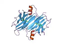 2f8i: Human transthyretin (TTR) complexed with Benzoxazole
