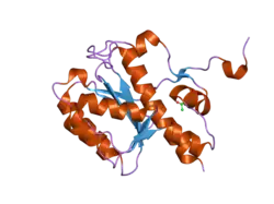 2fbt: WRN exonuclease