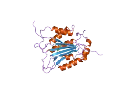 2fqq: Crystal structure of human caspase-1 (Cys285->Ala, Cys362->Ala, Cys364->Ala, Cys397->Ala) in complex with 1-methyl-3-trifluoromethyl-1H-thieno[2,3-c]pyrazole-5-carboxylic acid (2-mercapto-ethyl)-amide