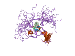 2fuu: NMR solution structure of the PHD domain from the human BPTF in complex with H3(1-15)K4me3 peptide
