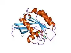 2g6b: Crystal structure of human RAB26 in complex with a GTP analogue
