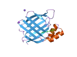 2g7b: Crystal Structure of the R132K:R111L:L121E mutant of Cellular Retinoic Acid Binding Protein Type II In Complex With All-Trans-Retinal At 1.18 Angstroms Resolution
