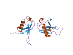 2gbj: Crystal Structure of the 9-10 8 Glycine Insertion Mutant of Ubiquitin.
