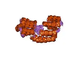 2gf5: Structure of intact FADD (MORT1)