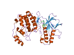 2ghm: Mutated MAP kinase p38 (Mus musculus) in complex with inhbitor PG-895449