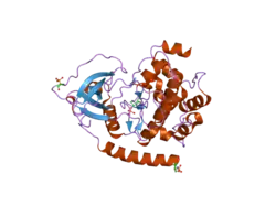 2gng: Protein kinase A fivefold mutant model of Rho-kinase