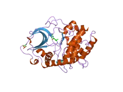 2gnj: PKA three fold mutant model of Rho-kinase with Y-27632