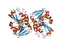 2h11: Amino-terminal Truncated Thiopurine S-Methyltransferase Complexed with S-Adenosyl-L-Homocysteine