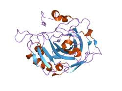 2hfx: Structural and kinetic analysis of proton shuttle residues in the active site of human carbonic anhydrase III