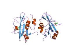 2iui: CRYSTAL STRUCTURE OF THE PI3-KINASE P85 N-TERMINAL SH2 DOMAIN IN COMPLEX WITH PDGFR PHOSPHOTYROSYL PEPTIDE