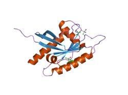 2iwr: GTPASE LIKE DOMAIN OF CENTAURIN GAMMA 1 (HUMAN)