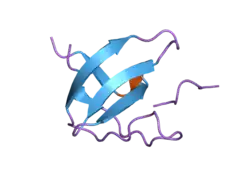 2j6o: ATYPICAL POLYPROLINE RECOGNITION BY THE CMS N-TERMINAL SH3 DOMAIN. CMS:CD2 HETEROTRIMER
