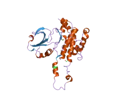 2jfm: CRYSTAL STRUCTURE OF HUMAN STE20-LIKE KINASE (UNLIGANDED FORM)