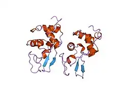 2mea: CHANGES IN CONFORMATIONAL STABILITY OF A SERIES OF MUTANT HUMAN LYSOZYMES AT CONSTANT POSITIONS