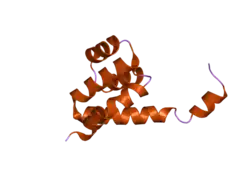 2nsn: Crystal structure of Caspace Activation and Recruitment Domain (CARD) of NOD1