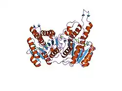 2o23: The structure of wild-type human HADH2 (17beta-hydroxysteroid dehydrogenase type 10) bound to NAD+ at 1.2 A