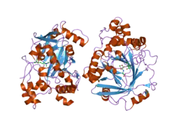 2os2: Crystal structure of JMJD2A complexed with histone H3 peptide trimethylated at Lys36