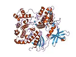2oza: Structure of p38alpha complex