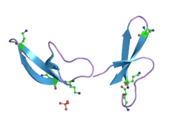 2pm5: Human alpha-defensin 1 derivative (HNP1)