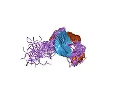 2u1a: RNA BINDING DOMAIN 2 OF HUMAN U1A PROTEIN, NMR, 20 STRUCTURES