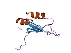 2u2f: SOLUTION STRUCTURE OF THE SECOND RNA-BINDING DOMAIN OF HU2AF65