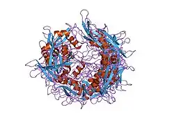3hck: NMR ensemble of the uncomplexed human HCK SH2 domain, 20 structures