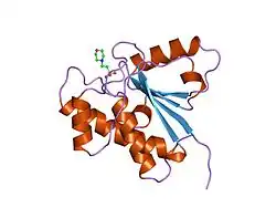 5pnt: CRYSTAL STRUCTURE OF A HUMAN LOW MOLECULAR WEIGHT PHOSPHOTYROSYL PHOSPHATASE. IMPLICATIONS FOR SUBSTRATE SPECIFICITY