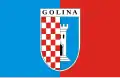 Flag of Golina