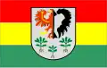 Flag of Gmina Krzęcin