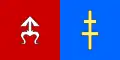 Flag of Skarżysko County
