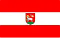 Flag of Wieluński County