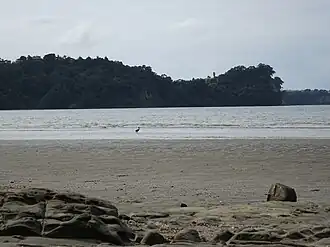 A sandy beach in front of an inlet. A dimly-lit headland is in the background