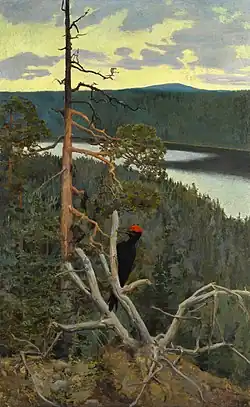 Black Woodpecker, 1894