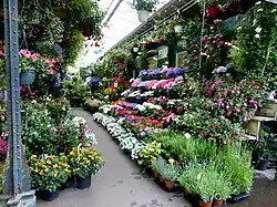 The Flower Market