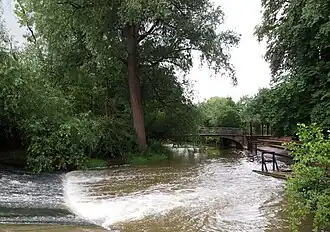 The upstream end of Mesopotamia seen from Parson's Pleasure