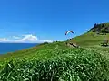 Paragliders at Pat Morton Lookout
