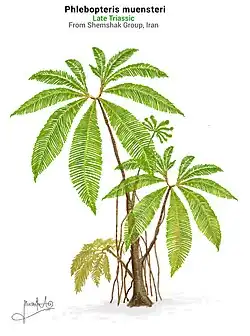 Phlebopteris_muensteri_life_restoration_,