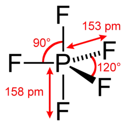 Structure of the phosphorus pentafluoride molecule
