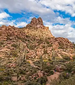 Pinnacle Peak Mountain