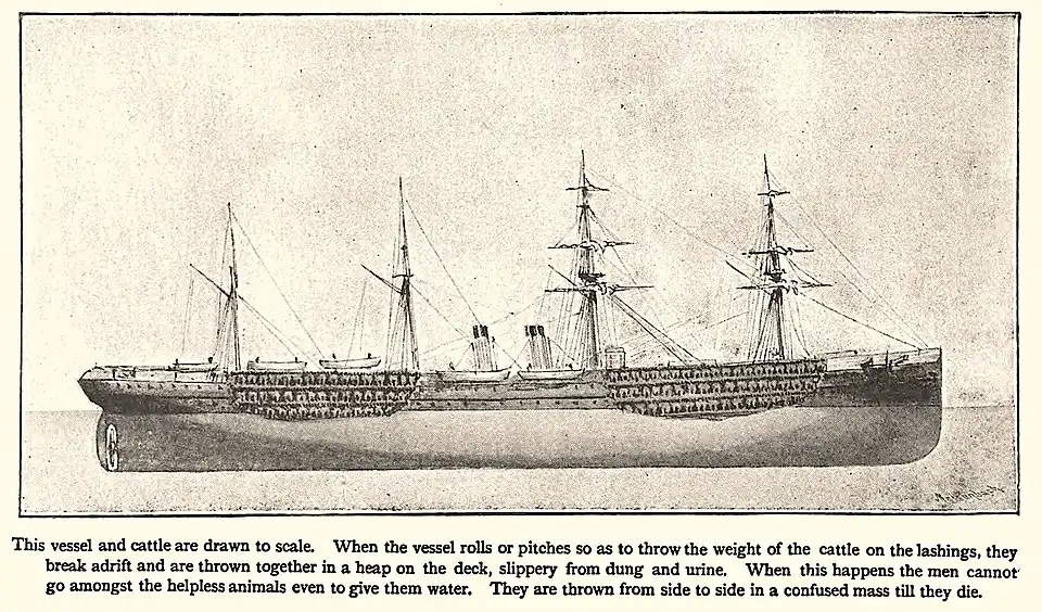Cattle ship according to Samuel Plimsoll and his campaign to abolish them