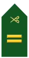 Lieutenant