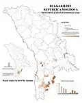 Distribution of Bulgarians in Moldova according to the 2004 census