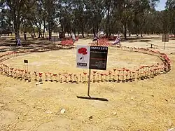 Poppy flower memorial